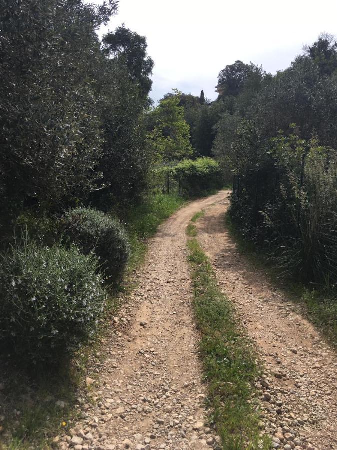 Cottage Pura Vigna Immerso Nella Natura Vicino Al Mare Porto Santo Stefano  Exteriör bild