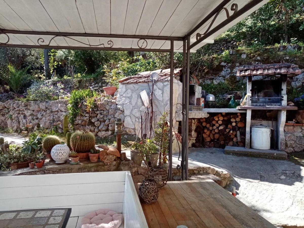 Cottage Pura Vigna Immerso Nella Natura Vicino Al Mare Porto Santo Stefano  Exteriör bild