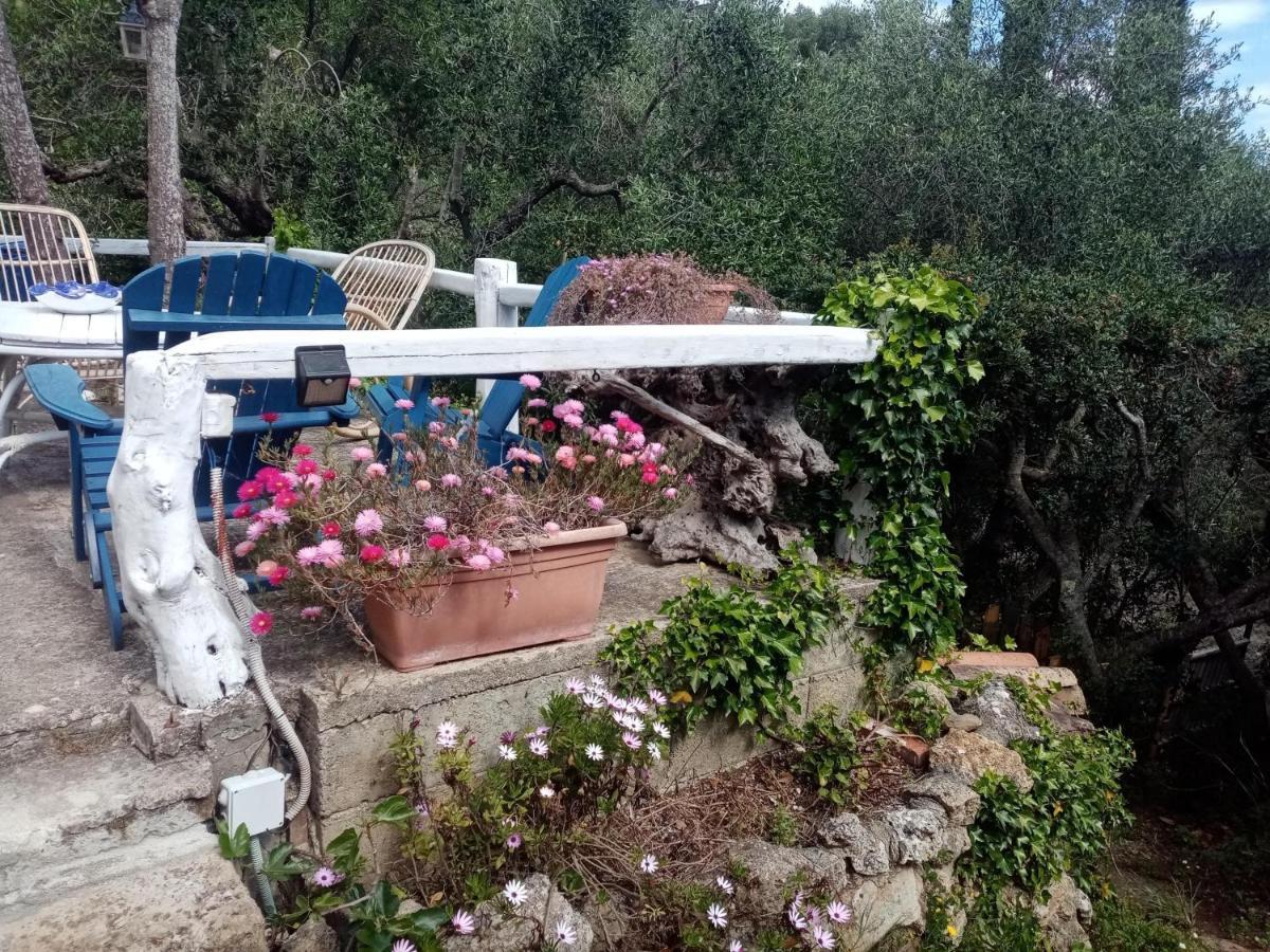 Cottage Pura Vigna Immerso Nella Natura Vicino Al Mare Porto Santo Stefano  Exteriör bild