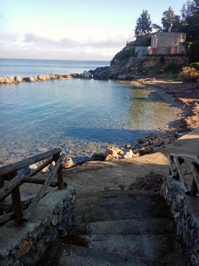 Cottage Pura Vigna Immerso Nella Natura Vicino Al Mare Porto Santo Stefano  Exteriör bild