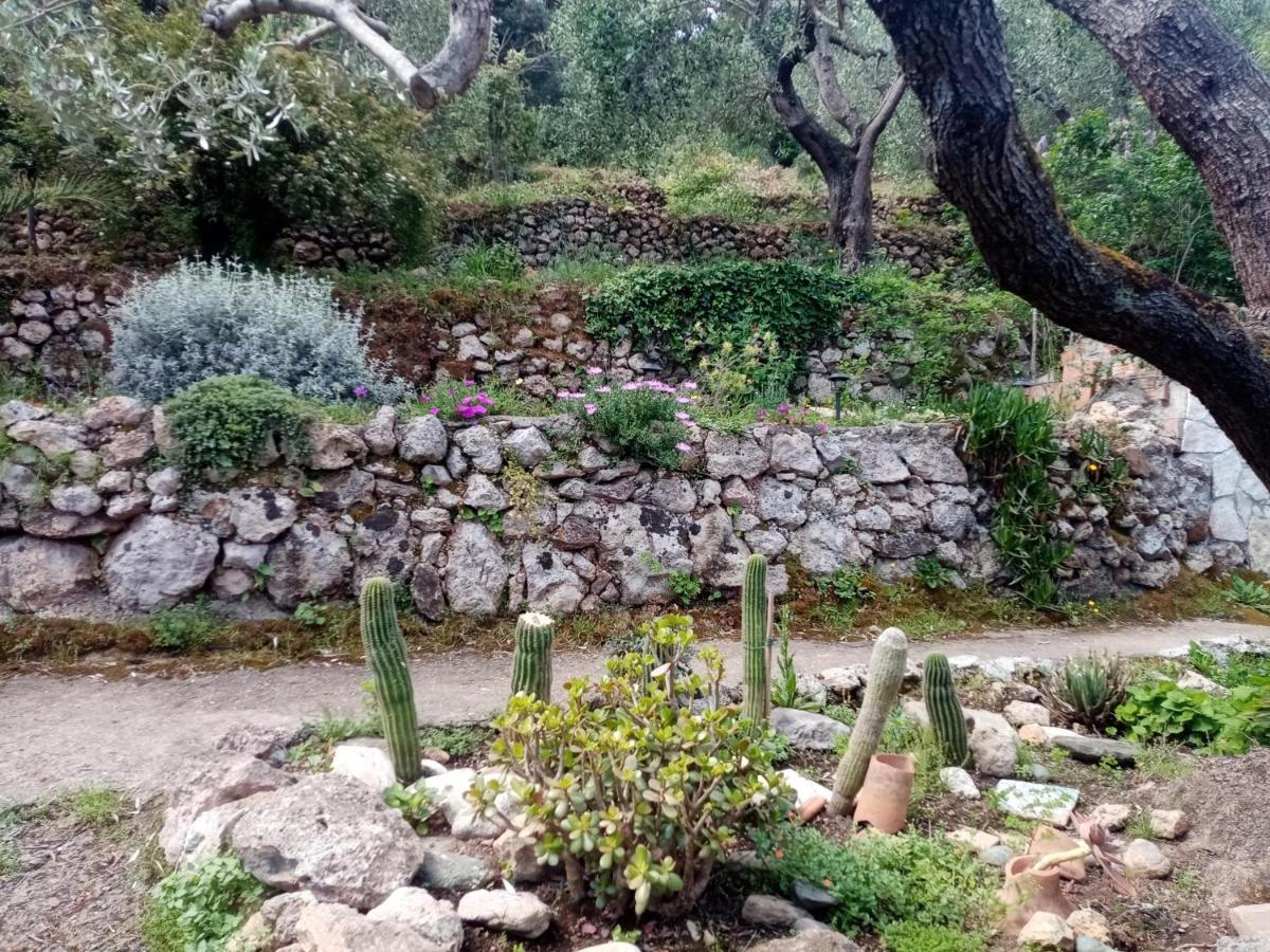 Cottage Pura Vigna Immerso Nella Natura Vicino Al Mare Porto Santo Stefano  Exteriör bild