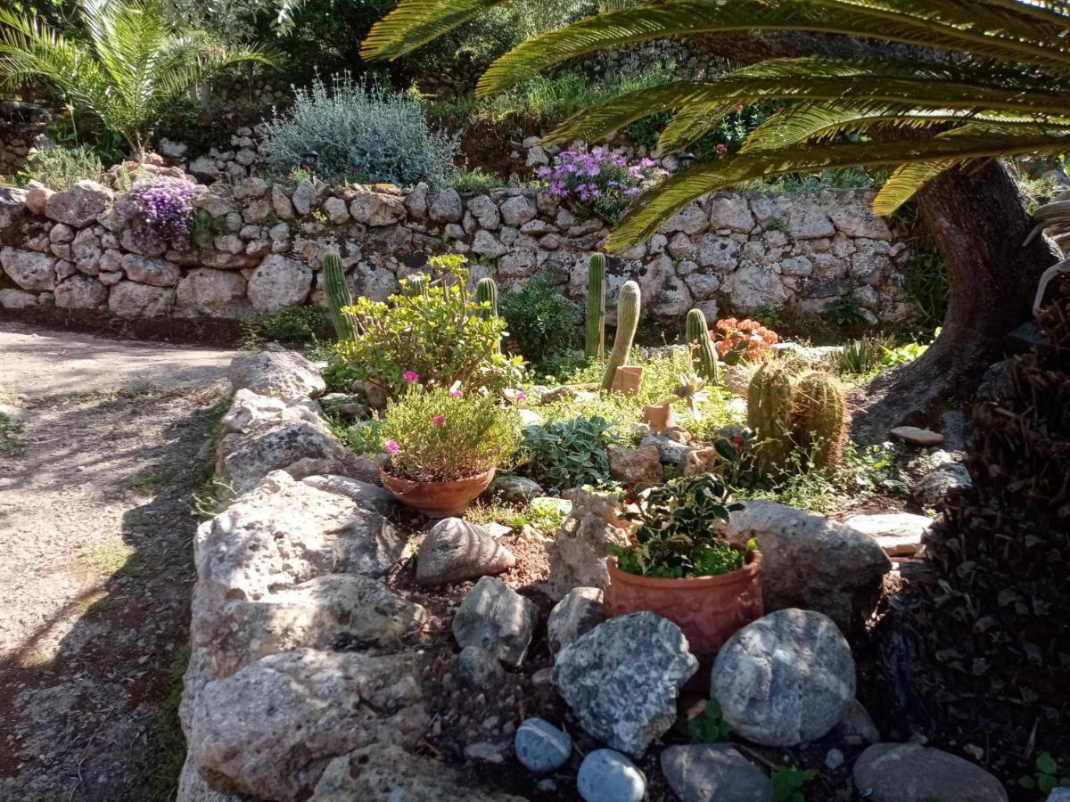 Cottage Pura Vigna Immerso Nella Natura Vicino Al Mare Porto Santo Stefano  Exteriör bild