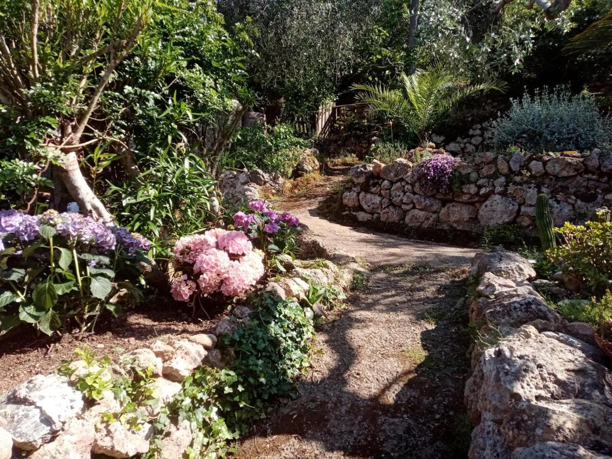 Cottage Pura Vigna Immerso Nella Natura Vicino Al Mare Porto Santo Stefano  Exteriör bild
