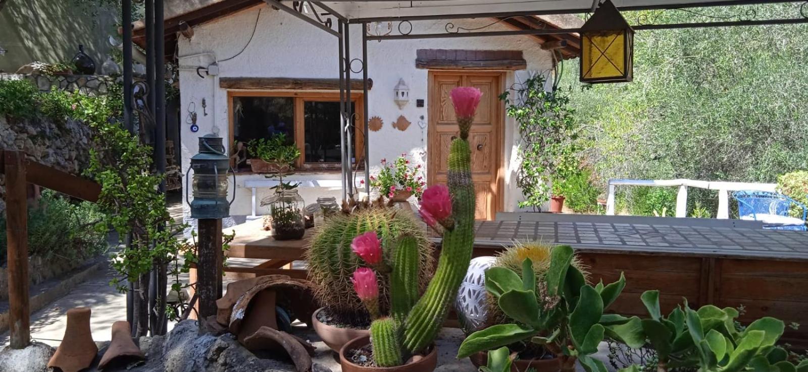 Cottage Pura Vigna Immerso Nella Natura Vicino Al Mare Porto Santo Stefano  Exteriör bild