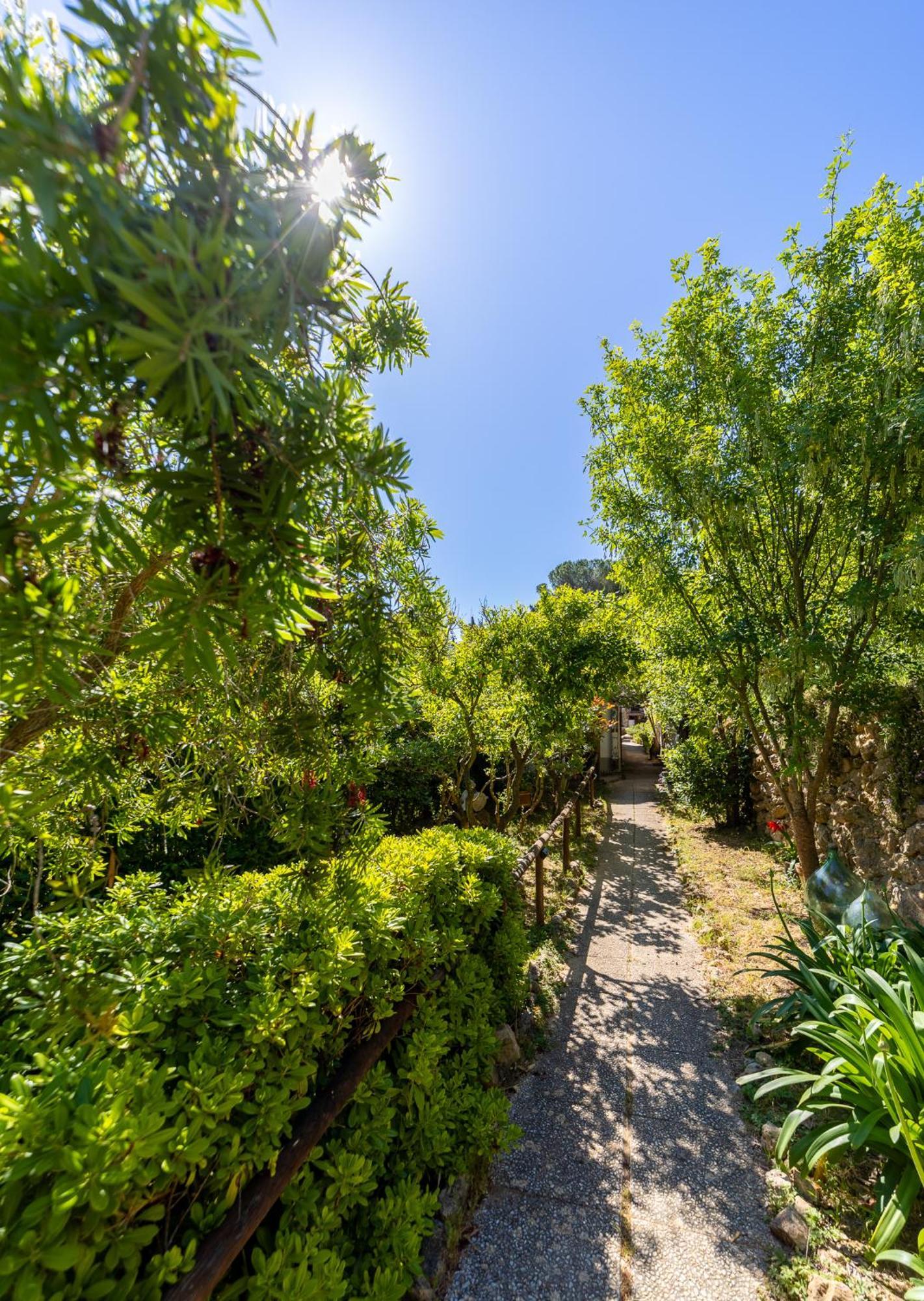 Cottage Pura Vigna Immerso Nella Natura Vicino Al Mare Porto Santo Stefano  Exteriör bild
