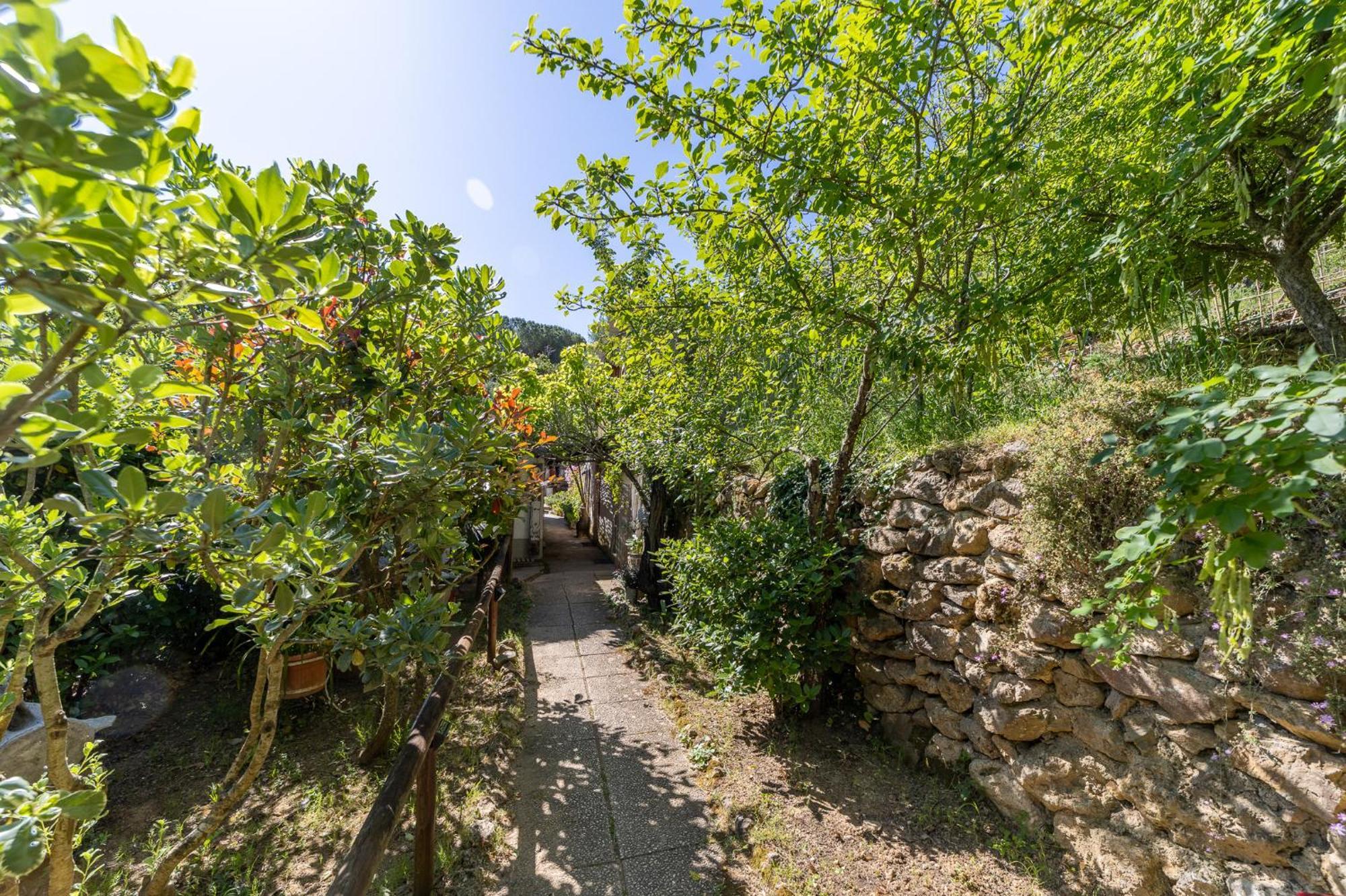 Cottage Pura Vigna Immerso Nella Natura Vicino Al Mare Porto Santo Stefano  Exteriör bild