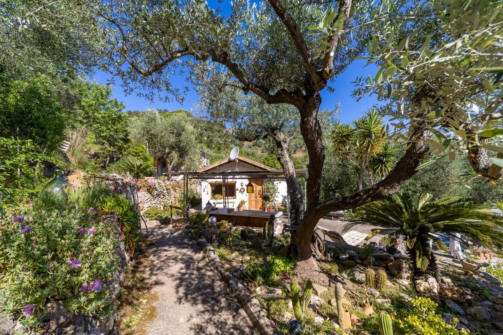 Cottage Pura Vigna Immerso Nella Natura Vicino Al Mare Porto Santo Stefano  Exteriör bild